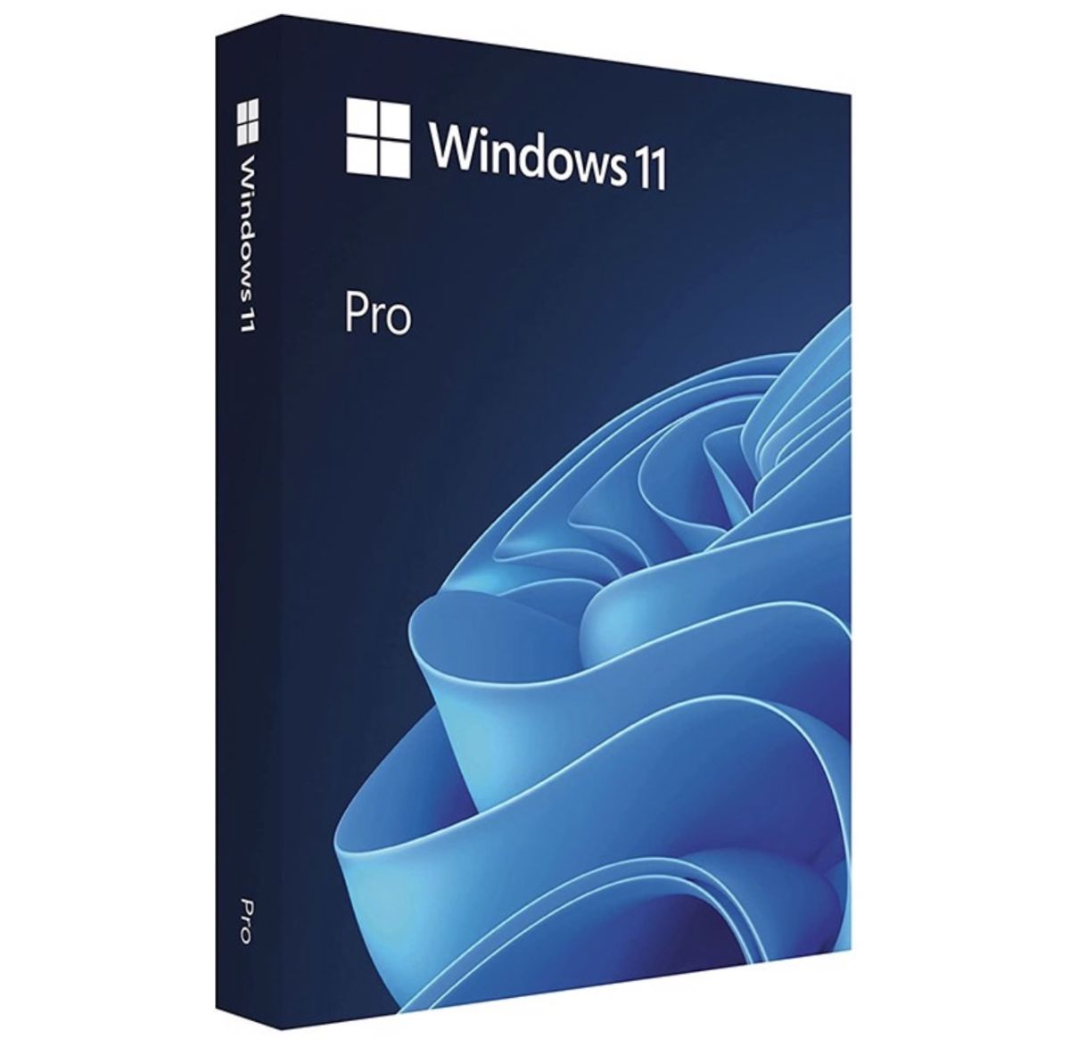 Windows 11 Professional – License